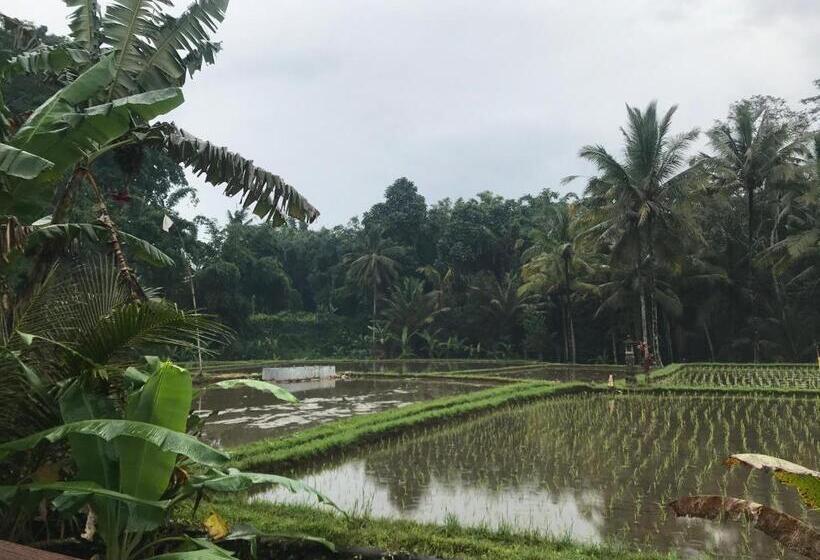 צימר Suastika Guest House Ubud