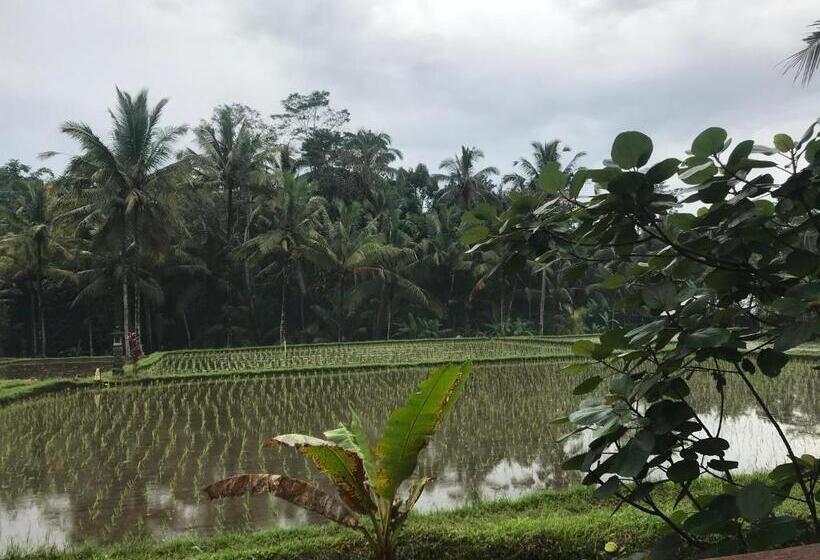 צימר Suastika Guest House Ubud