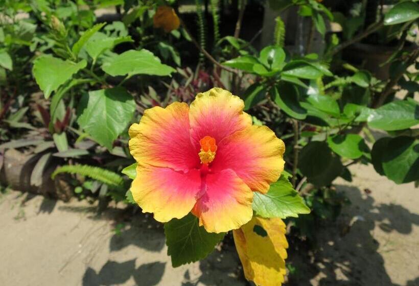 민박 Bangbaobeach Resort