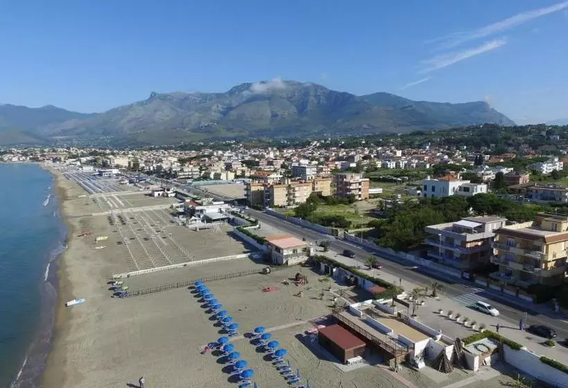 Elisa A Mare