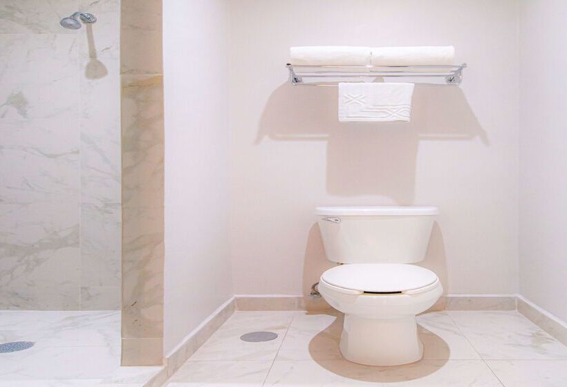 Отель Best Western Plus Santa Cecilia Pachuca