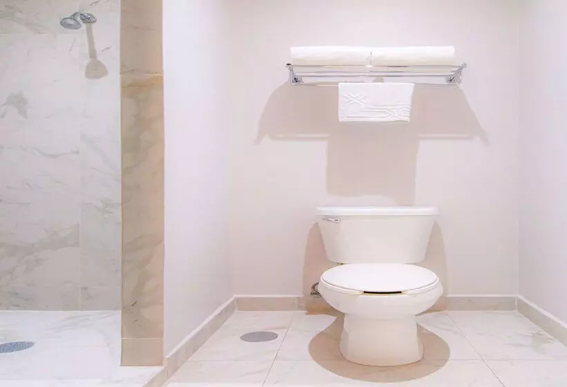 Hotelli Best Western Plus Santa Cecilia Pachuca