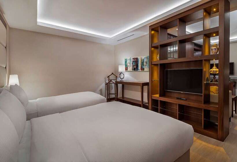 Hotel Doubletree By Hilton Istanbul Topkapi