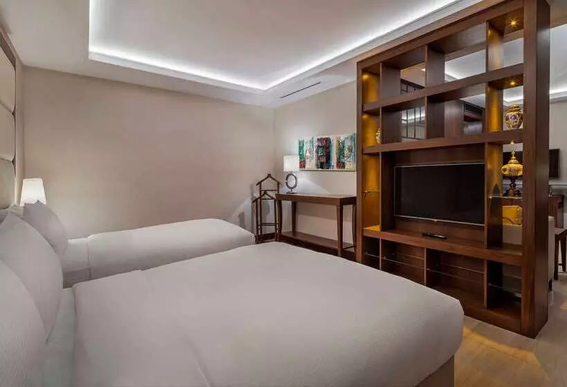 ホテル Doubletree By Hilton Istanbul Topkapi