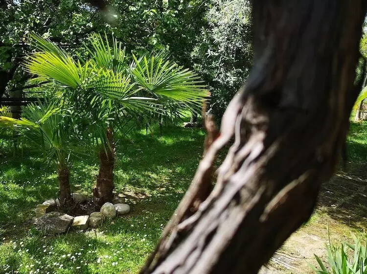 ホテル La Casa Sul Colle