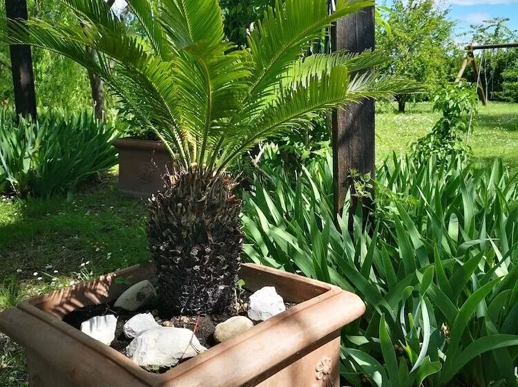 ホテル La Casa Sul Colle