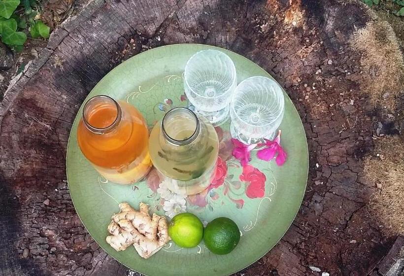 住宿加早餐  Plan Sea Guest House