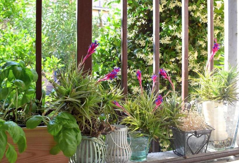 住宿加早餐  Plan Sea Guest House