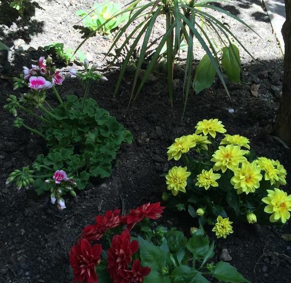 فندق B&b Bon Ton