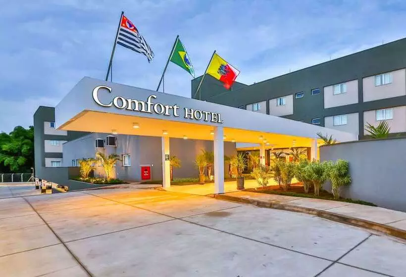 ホテル Comfort Mogi Guaçu