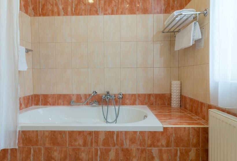 فندق Ensana Centrální Lázně   Maria Spa