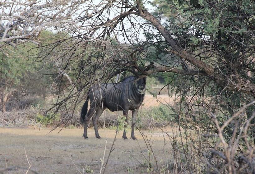 Hotel Klein Eden Guest Farm