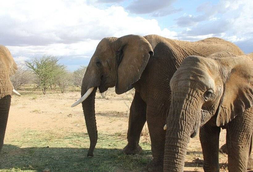 Hotel Klein Eden Guest Farm