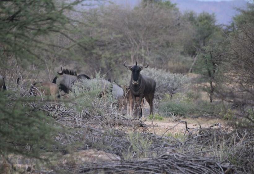 Hotel Klein Eden Guest Farm