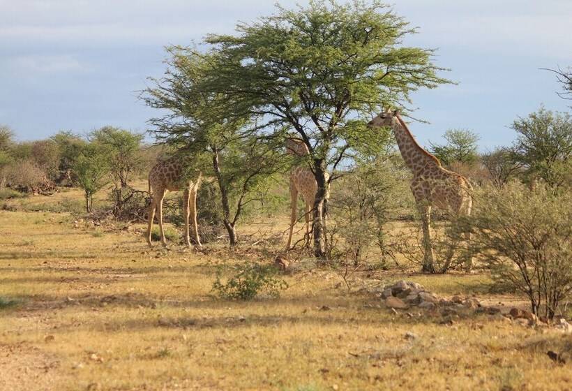 Hotel Klein Eden Guest Farm