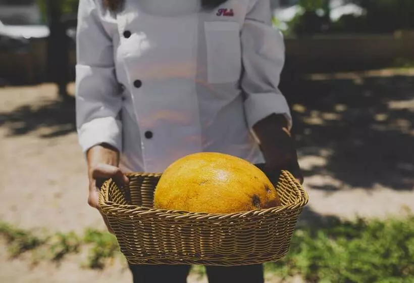 Latchi Escape Hotel & Suites