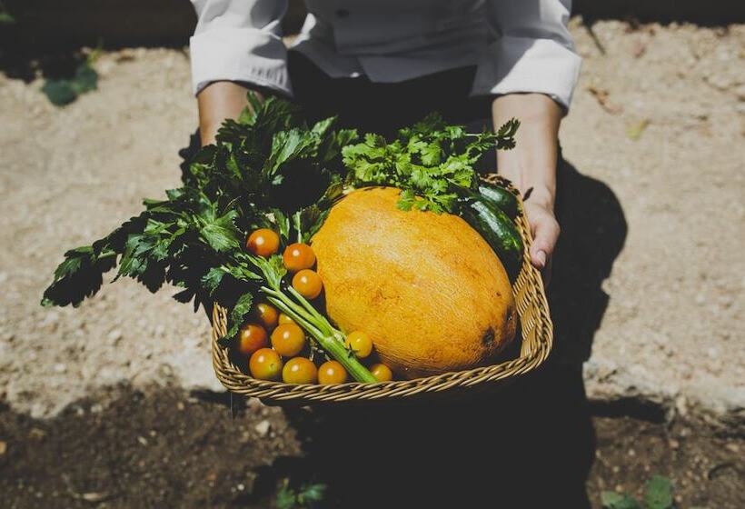 Latchi Escape Hotel & Suites