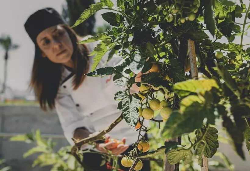 Latchi Escape Hotel & Suites