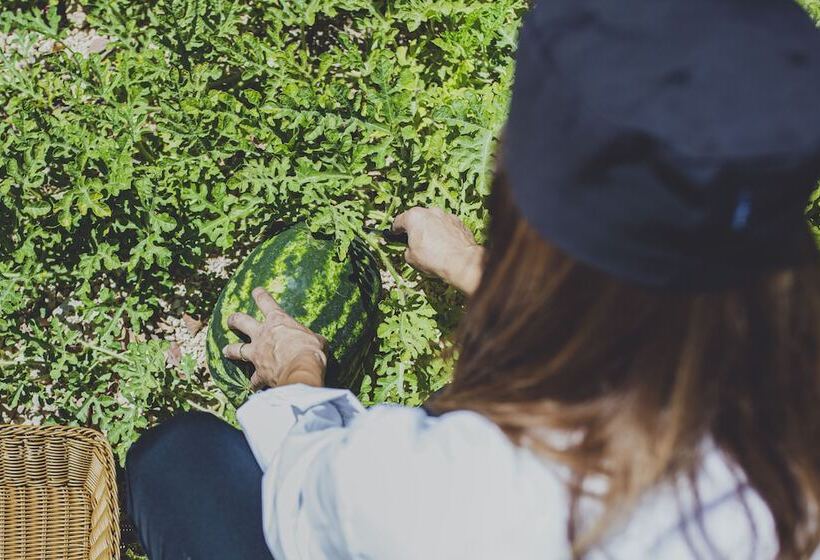 Latchi Escape Hotel & Suites