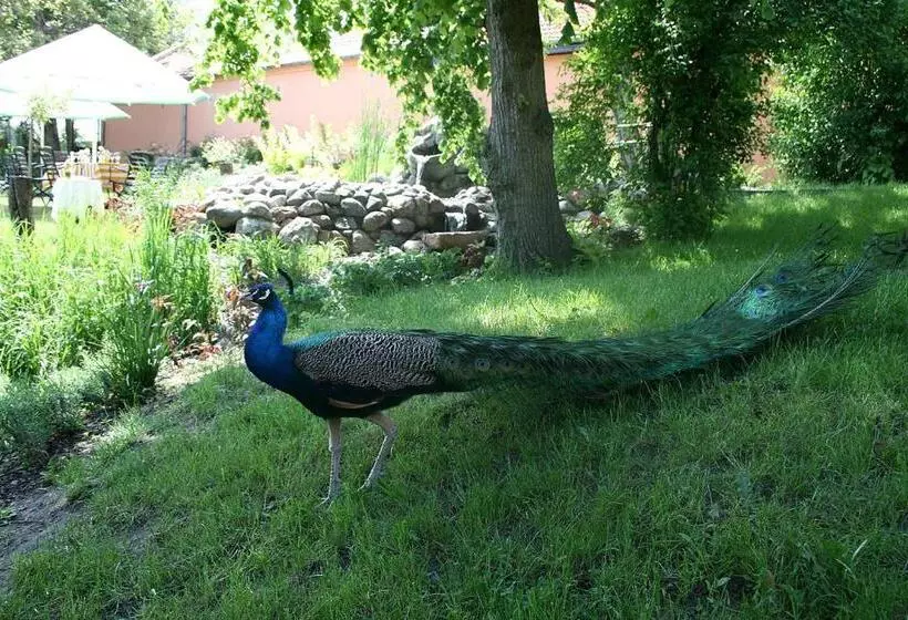 ホテル Adalbertus