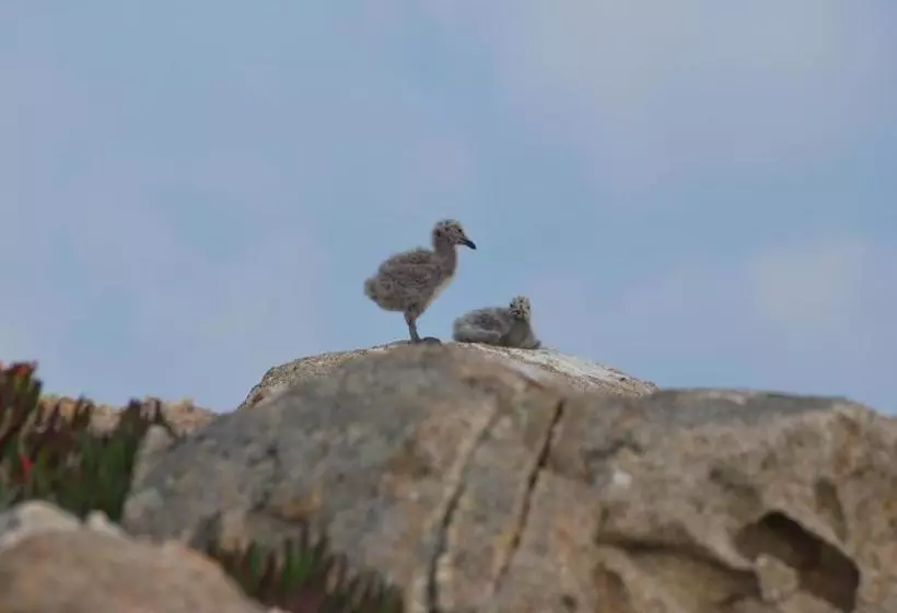 ホテル Giardino Delle Palme