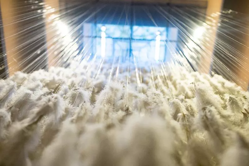 هتل Jaya House River Park