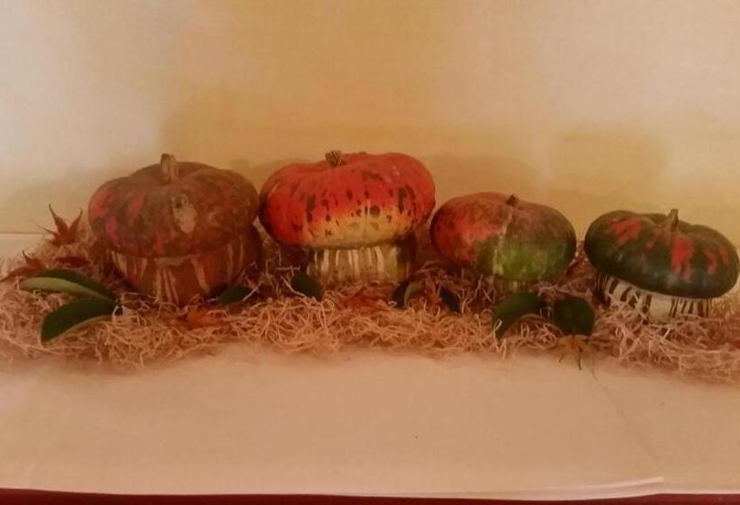 هتل Locanda Veneta