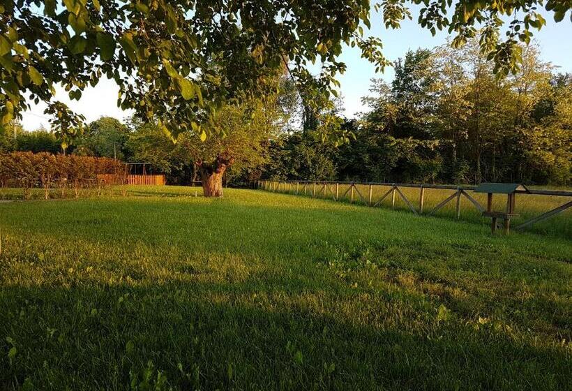 هتل Locanda Veneta