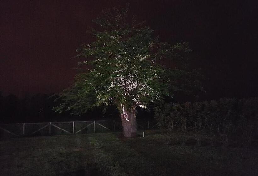 هتل Locanda Veneta