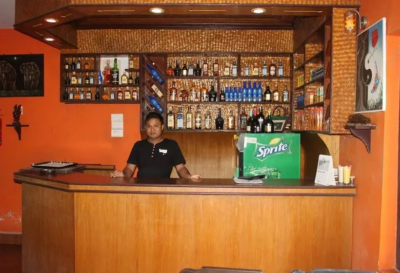 هتل Monalisa Chitwan