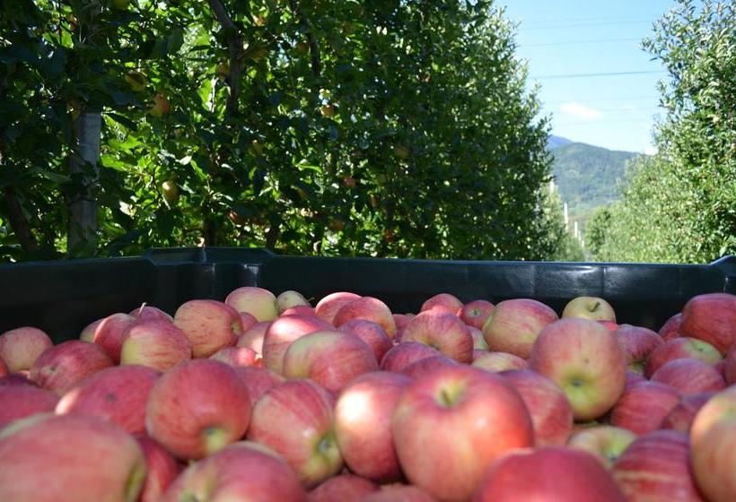 호텔 Pension Dolomitenblick