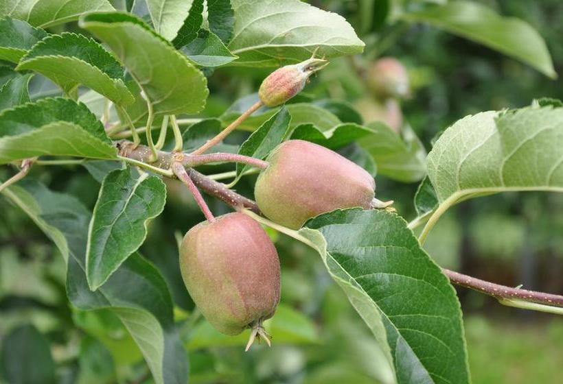 호텔 Pension Dolomitenblick