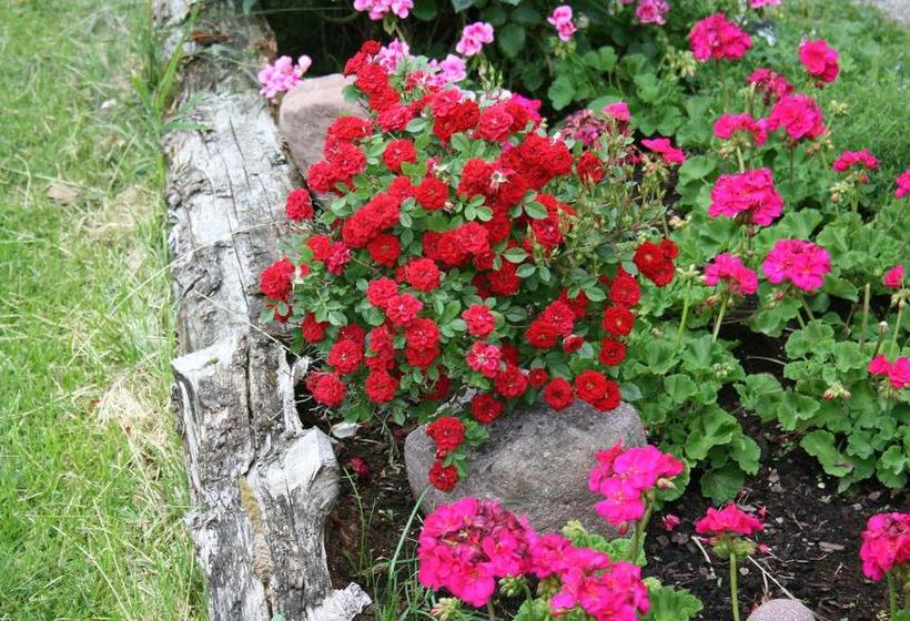 호텔 Pension Dolomitenblick