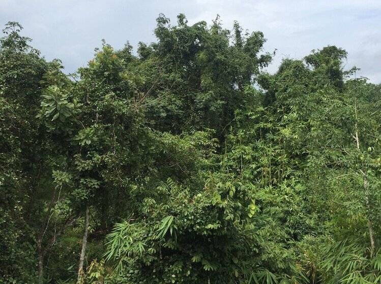 فندق Srisuksant Urban