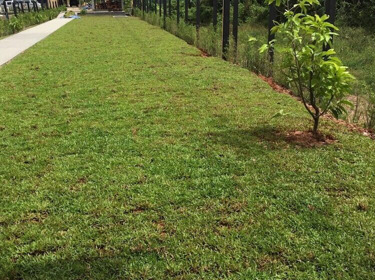 فندق Srisuksant Urban