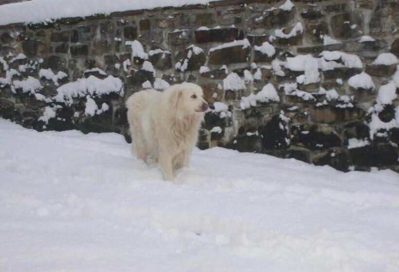 Kuko Hotel   Adults Only