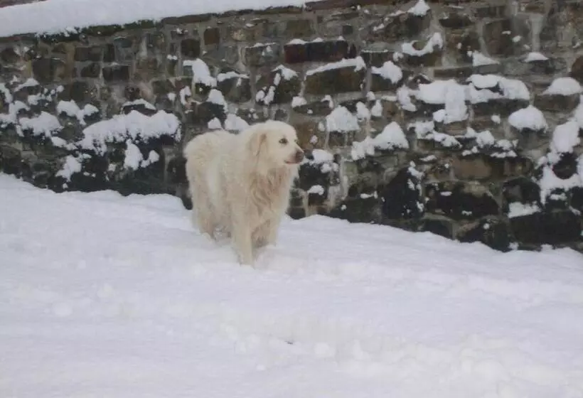 Kuko Hotel   Adults Only