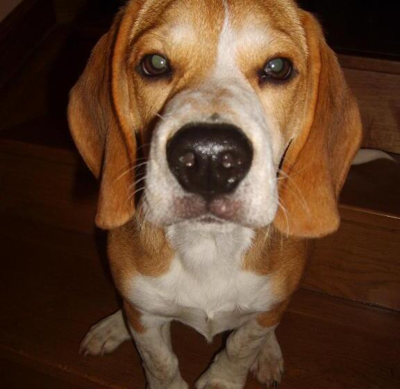 Kuko Hotel   Adults Only