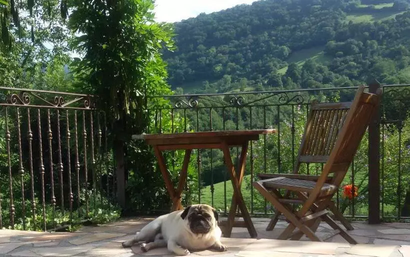 Kuko Hotel   Adults Only