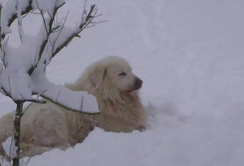 Kuko Hotel   Adults Only