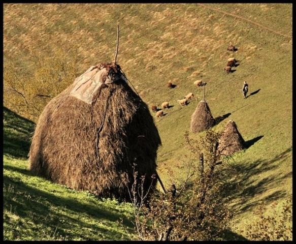 Kuko Hotel   Adults Only