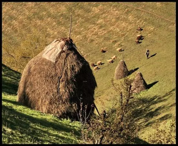 Kuko Hotel   Adults Only