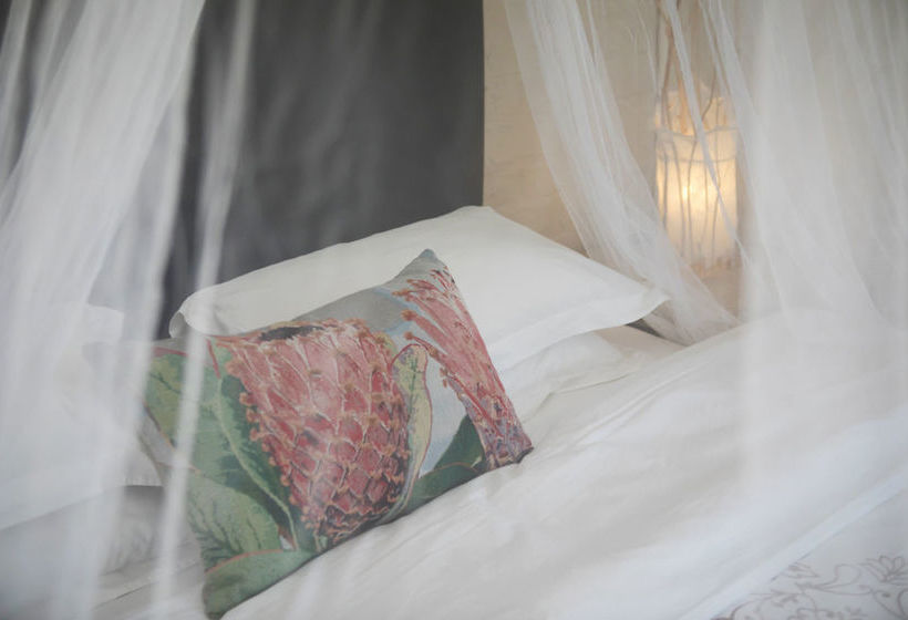 بنسيون Essere Lodge