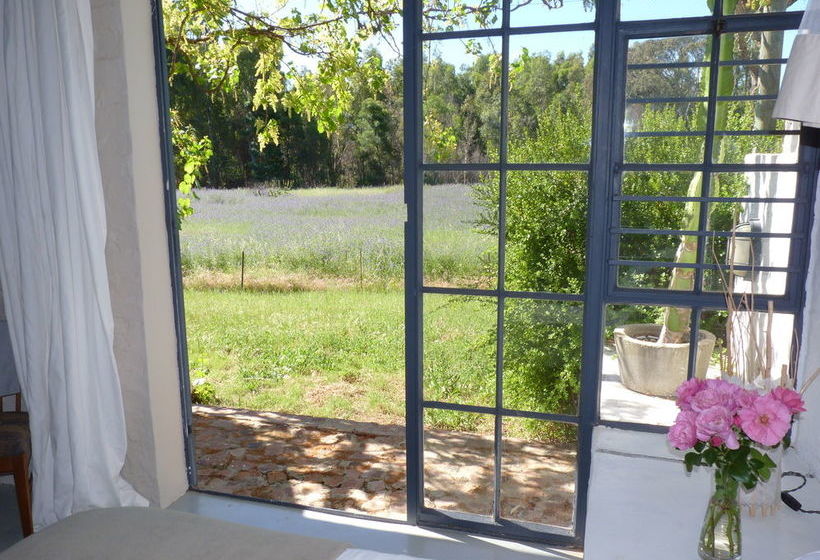 膳宿费 Essere Lodge