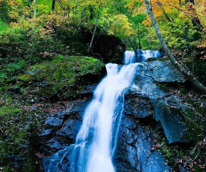 Pension Good Luck Takayama