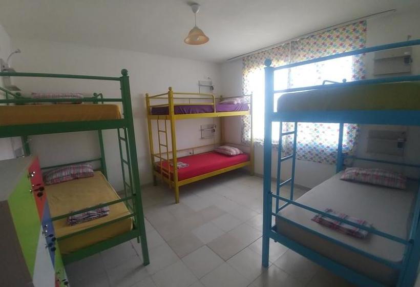 فندق فئة نجمة واحدة Green Garden Guesthouse