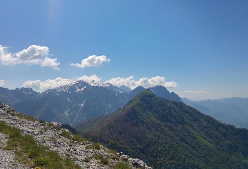 فندق فئة نجمة واحدة Green Garden Guesthouse