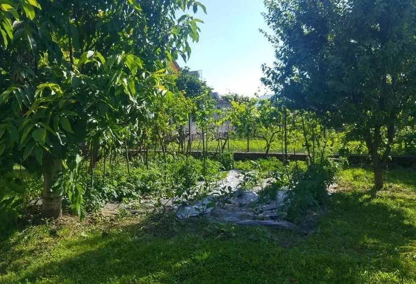 Hostal Green Garden Guesthouse