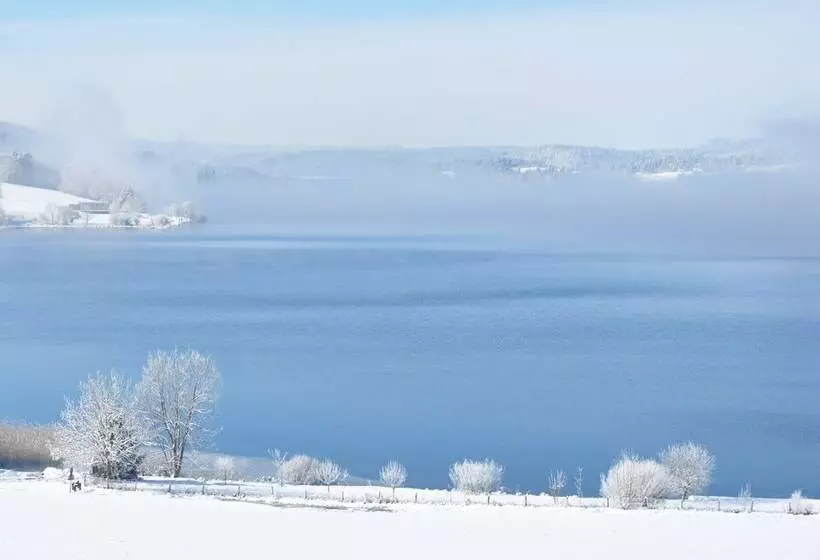 Hotel Hôtel De La Poste