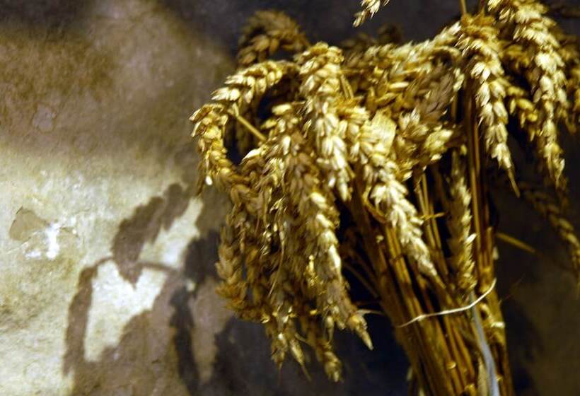 בית מלון כפרי Hôtel De La Poste